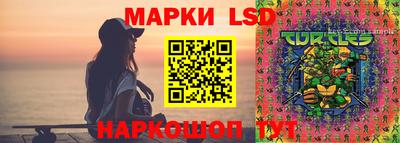ПСИЛОЦИБИНОВЫЕ ГРИБЫ Новодвинск