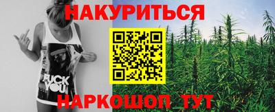 каннабис Новозыбков
