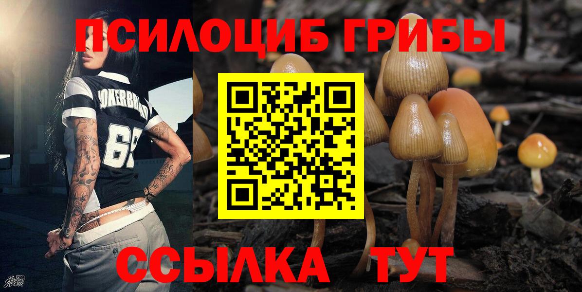 Спасск-Дальний  Псилоцибиновые грибы Cubensis  Вход с VPN 